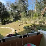 Le Pelican *